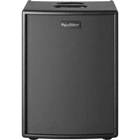 Ampli Hughes & Kettner ERA 2 Wood