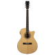 Guitare Prodipe SA150 CEQ électro-acoustique