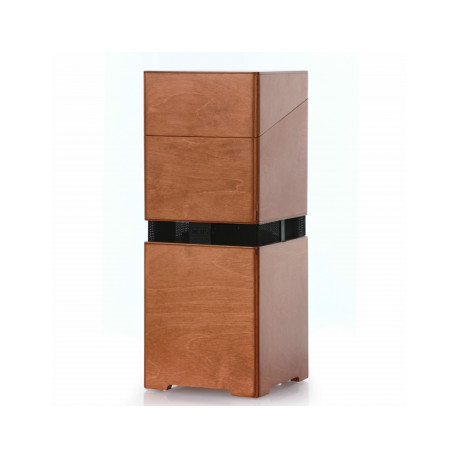 Ampli Acus All Around 8 bois