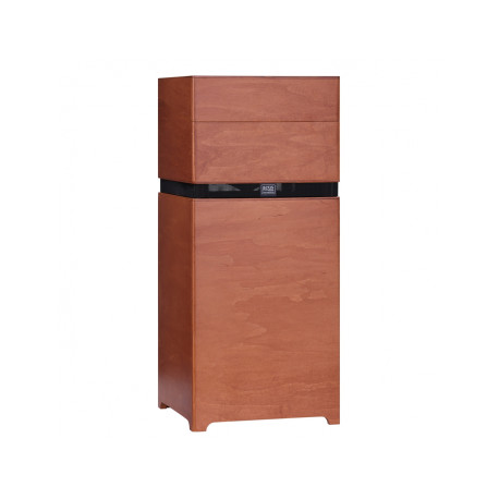 Ampli Acus All Around 10 bois