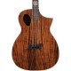 Guitare électro-acoustique Michael Kelly FORTE PORT KOA