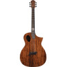Guitare électro-acoustique Michael Kelly FORTE PORT KOA