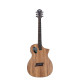 Guitare Mickael Kelly FORTE PORT ZEBRA