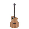 Guitare Michael Kelly FORTE PORT ZEBRA