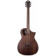 Guitare Michael Kelly FORTE EXOTIC JE