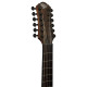 Guitare Michael Kelly FORTE PORT 12 RANDY JACKSON SIGNATURE