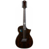 Guitare Michael Kelly FORTE PORT 12 RANDY JACKSON SIGNATURE