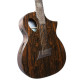 Guitare Michael Kelly FORTE PORT 12 RANDY JACKSON SIGNATURE
