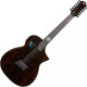 Guitare Michael Kelly FORTE PORT 12 RANDY JACKSON SIGNATURE