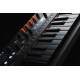 Synthétiseur Arturia MiniFreak Stellar