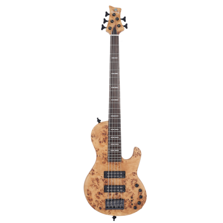 Basse Marcus Miller F10 5 cordes NT.S