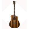 Guitare Bromo BAR4 GCE en housse