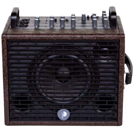 Ampli acoustique Prodipe Traveler 6