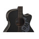 Guitare Applause Jump Dark Matter