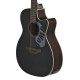 Guitare Applause Jump Dark Matter