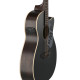 Guitare Applause Jump Dark Matter