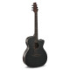 Guitare Applause Jump Dark Matter