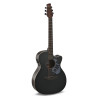 Guitare Applause Jump Dark Matter