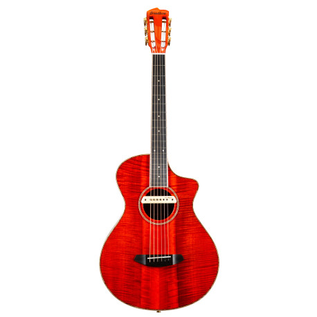 Guitare électro Breedlove Oregon Concertina CE TB Vintage