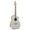Guitare Applause Jump Blank Canvas AEO-69-6PS