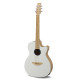 Guitare Applause Jump Blank Canvas AEO-69-6PS