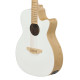 Guitare Applause Jump Blank Canvas AEO-69-6PS