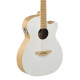 Guitare Applause Jump Blank Canvas AEO-69-6PS