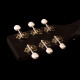 Guitare Art & Lutherie Americana Faded Black Presys II