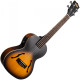 Ukulélé Ténor Kala Archtop Tobacco burst