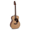 Guitare folk Applause Wood Classic AAO96-4