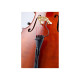 Micro violoncelle KNA VC-1 Piezo