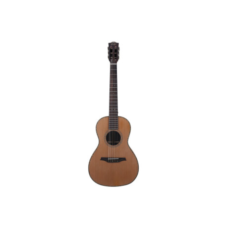 Guitare électro Bromo BAR6E en housse