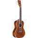 Ukulélé concert Cordoba 15CB Bocote