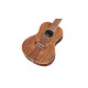 Ukulélé concert Cordoba 15CB Bocote
