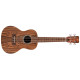 Ukulélé concert Cordoba 15CB Bocote