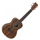 Ukulélé concert Cordoba 15CB Bocote