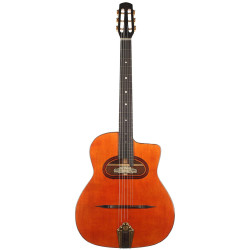 Guitare Jazz manouche Altamira M10D en étui