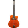 Guitare Jazz manouche Altamira M10D en étui