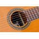 Guitare classique Pleyel P200 Cèdre rouge massif