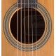 Guitare folk Stanford Radiotone Studio 49D dreadnought