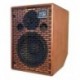 Ampli guitare acoustique Acus One For String 6T Stage wood
