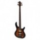 Basse Cort C4 Plus Zebra tobacco burst