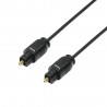 Cable Audionumérique Toslink vers Toslink 2 m