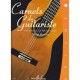 Les Carnets du guitariste vol.2