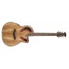 Guitare électro-acoustique Ovation Celebrity elite CE44P-SP Spalted Maple