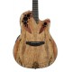 Guitare électro-acoustique Ovation Celebrity elite CE44P-SP Spalted Maple
