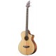 Basse électro-acoustique Breedlove Pursuit BASS