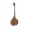 Bouzouki Irlandais Pro Arte Antique