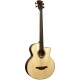 Basse acoustique Lag Tramontane T177BCE cut away