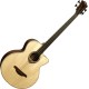 Basse acoustique Lag Tramontane T177BCE cut away